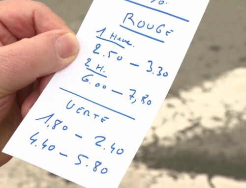 Bordeaux instaure une surtaxe de stationnement ciblée sur les SUV et véhicules lourds